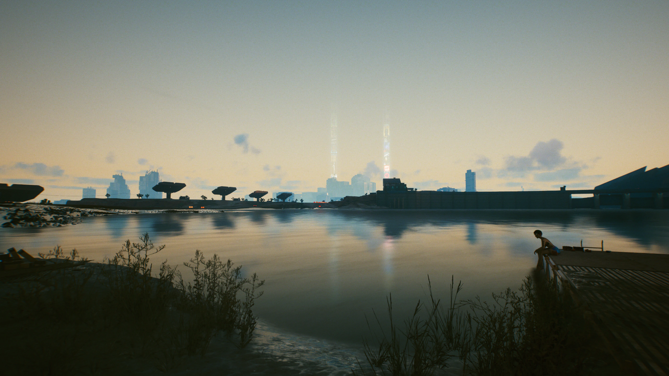 Cyberpunk 2077 Screenshot